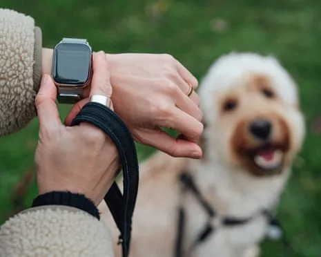 The Truth Regarding Wearable Tech? Life Improves Devoid of a Bossy Device on Your Wristwear